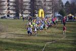 1° cross di Grugliasco 06-03-2016 278-.jpg