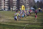 1° cross di Grugliasco 06-03-2016 279-.jpg