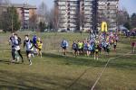 1° cross di Grugliasco 06-03-2016 282-.jpg