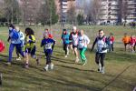 1° cross di Grugliasco 06-03-2016 336-.jpg