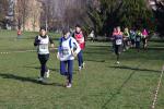 1° cross di Grugliasco 06-03-2016 390-.jpg