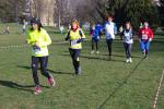 1° cross di Grugliasco 06-03-2016 451-.jpg