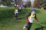 1° cross di Grugliasco 06-03-2016 543-.jpg