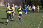 1° cross di Grugliasco 06-03-2016 809-.jpg