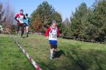 1° cross di Grugliasco 06-03-2016 a1077-.jpg