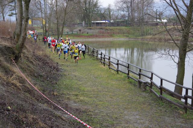 cross di Rosta 13-03-2016 044-.jpg