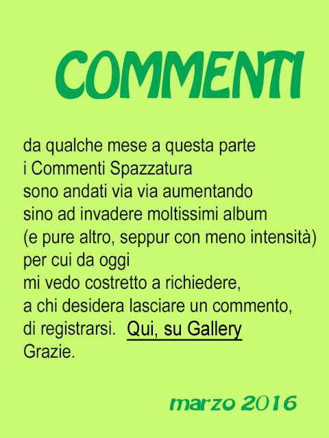 4 - commenti ok.jpg