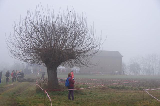 cross di Trofarello 31-01-2016 194-.jpg