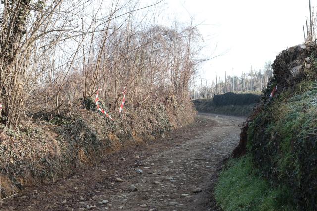 trail massi erratici 19-02-2017 013-.jpg