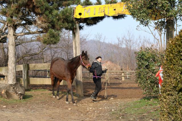 trail massi erratici 19-02-2017 029-.jpg