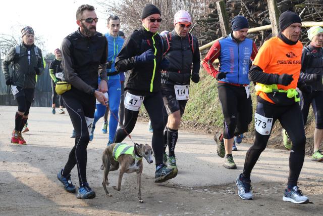 trail massi erratici 19-02-2017 327-.jpg