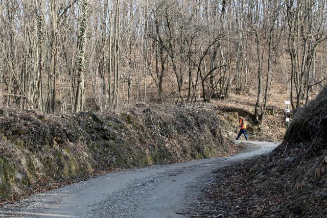 trail massi erratici 19-02-2017 383-.jpg