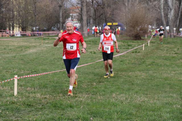 cross delle belve 12-03-2017 540-.jpg