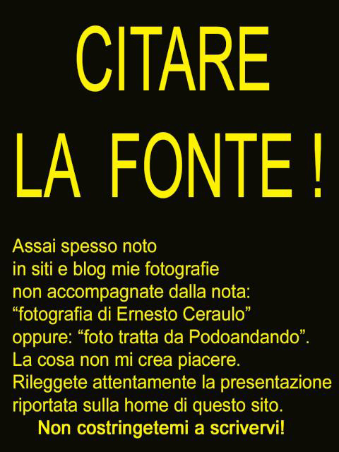 3 - Citare la fonte.jpg